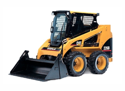 bob cat